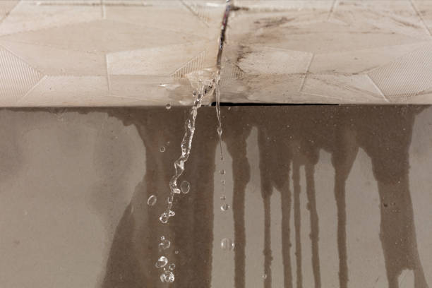 Professional Structural Drying technician working in Westport, IN